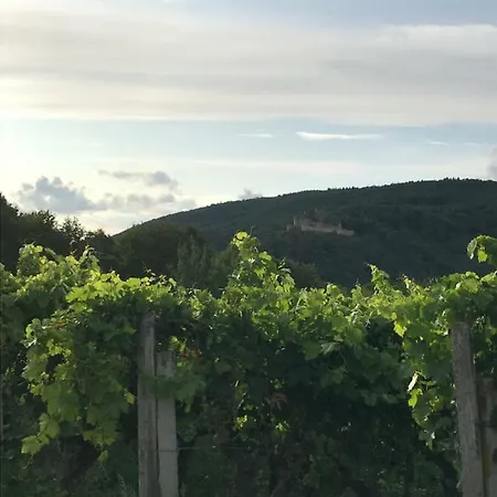 Wanderlust * Klingenmünster