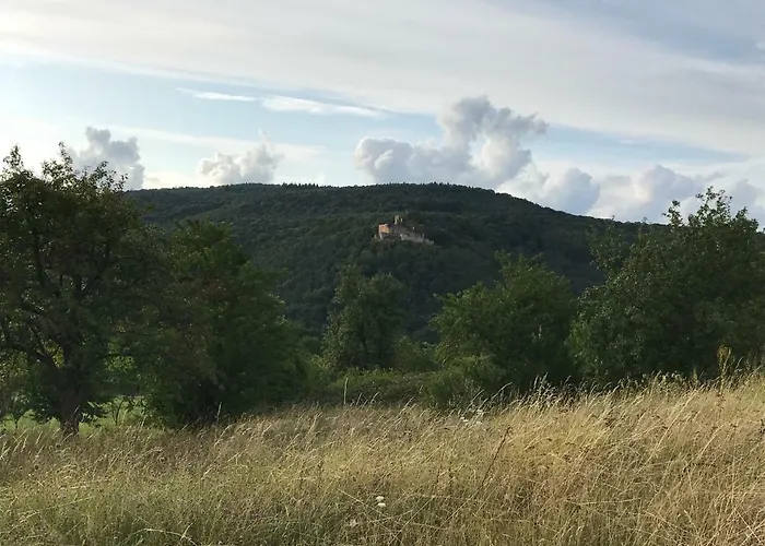 Apartamento Wanderlust Klingenmünster